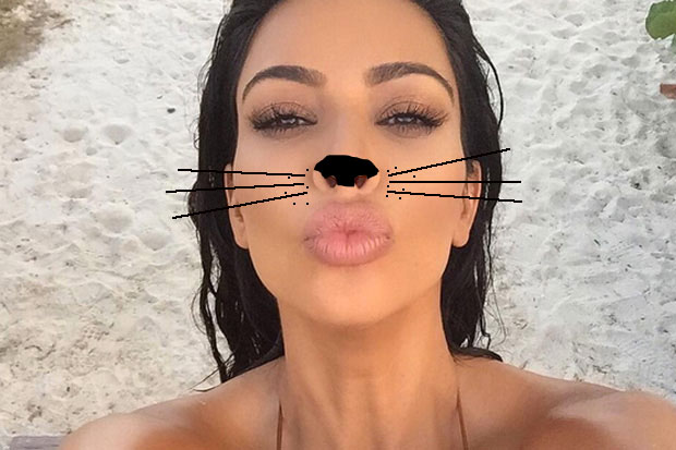 Cats and Kardashian